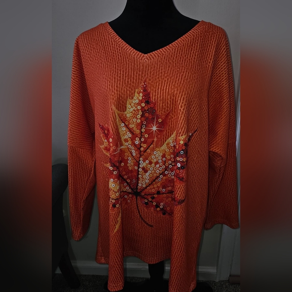 🍁 Women's XXL Plus Size Long Sleeve Shirt Like new!